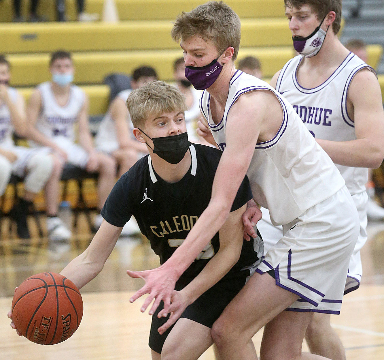 March 19: Goodhue vs. Caledonia